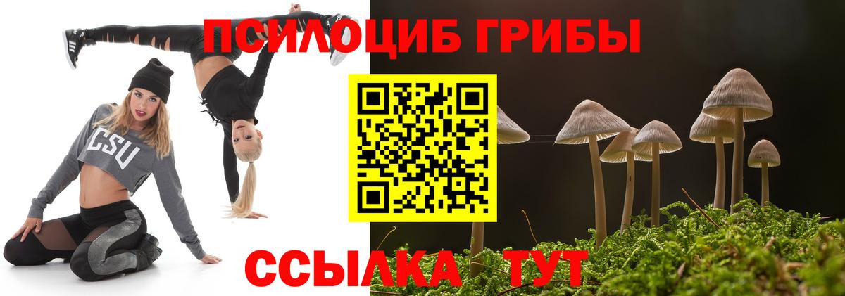 Псилоцибиновые грибы GOLDEN TEACHER  Вход с VPN  Тосно 