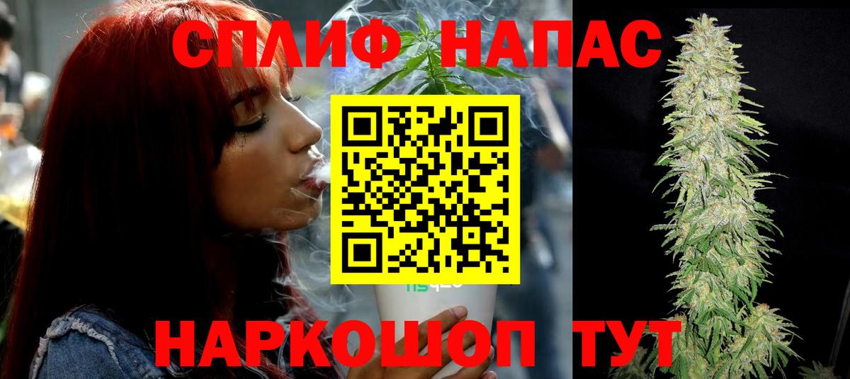 Канабис сатива Тосно