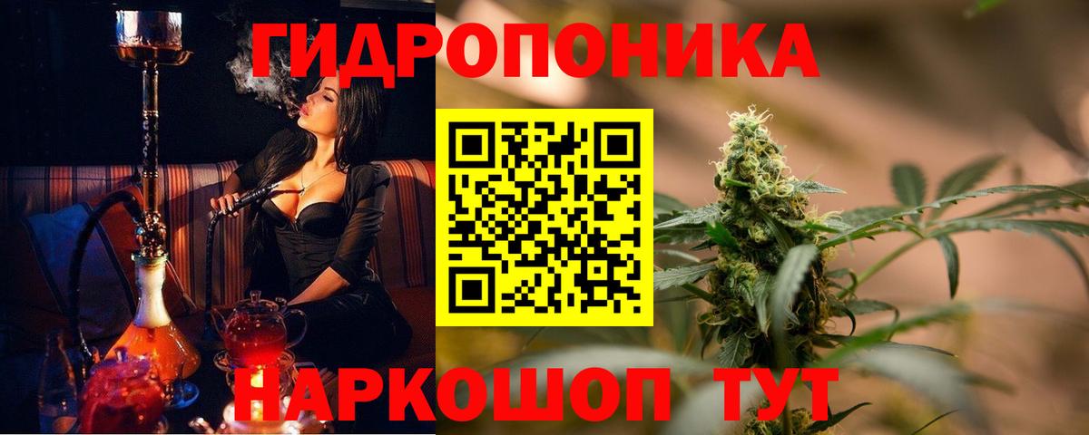 Шишки марихуана MAZAR  Каннабис OG Kush  Тосно  Вход с VPN  Бошки Шишки SATIVA & INDICA  Каннабис Bruce Banner 